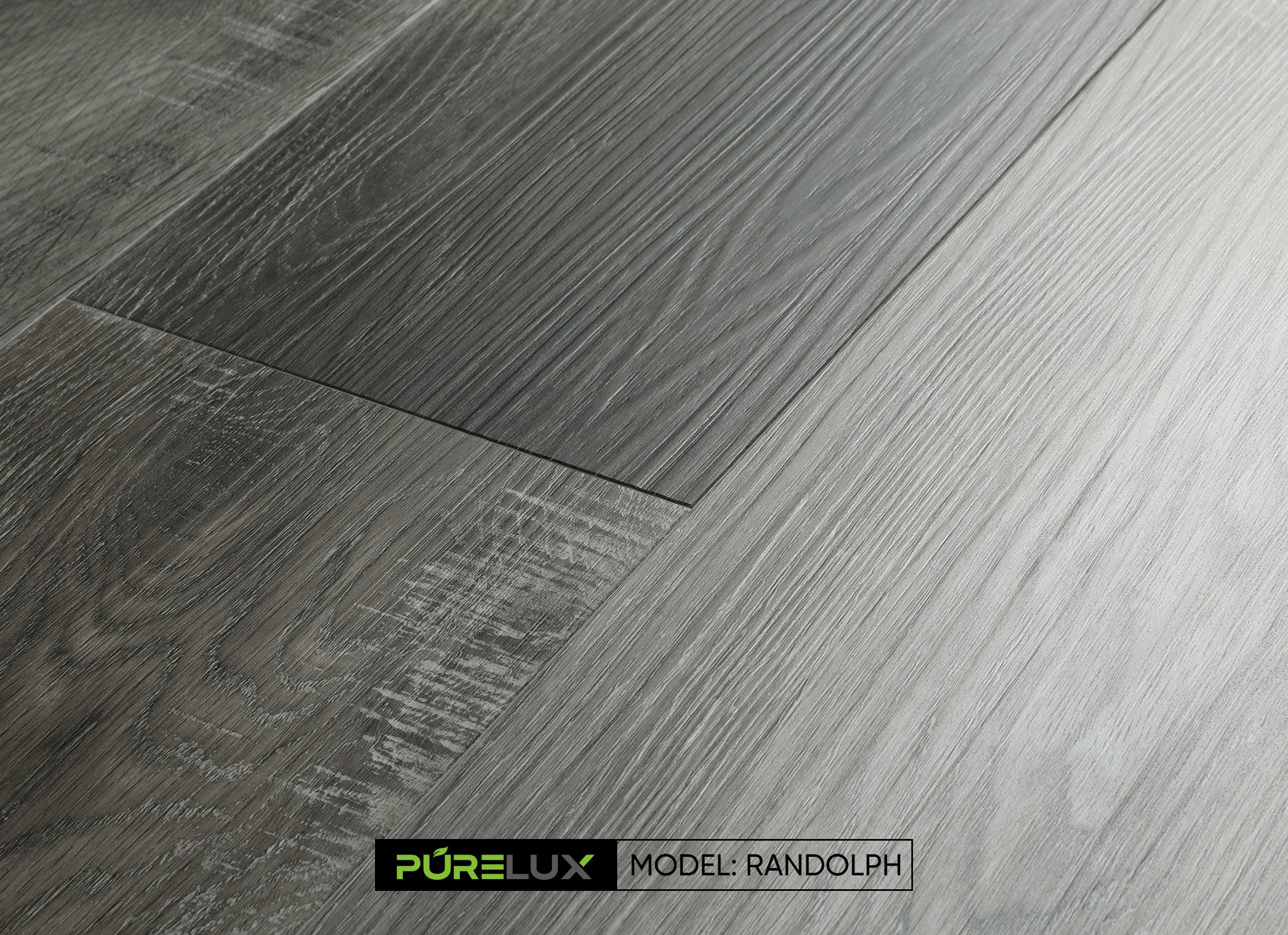 Randolph - Dynamic Series